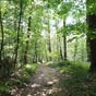 Des sous-bois agréables qui font contrepoids aux efforts liés à un dénivelé conséquent.